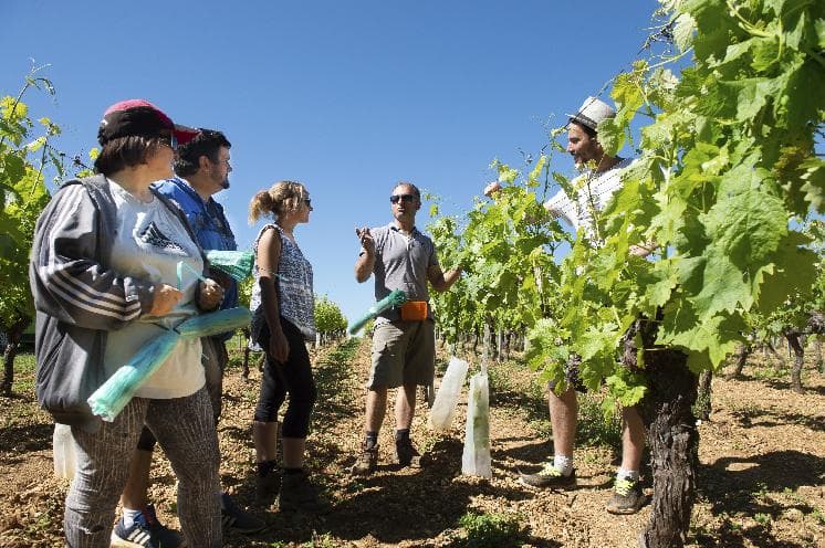 Recrutement saisonnier dans l'agriculture